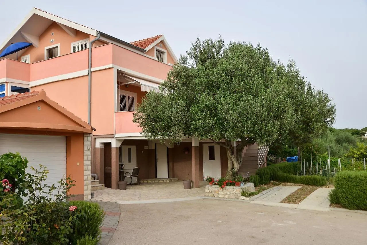 Apartman Olive 2 Zadar Croacia