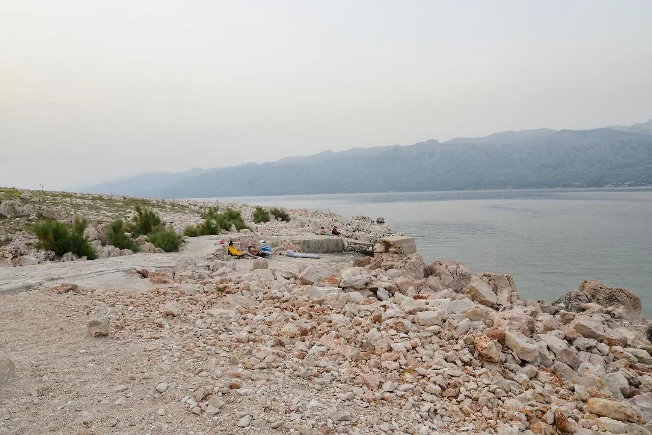 Apartman Olive 2 Zadar