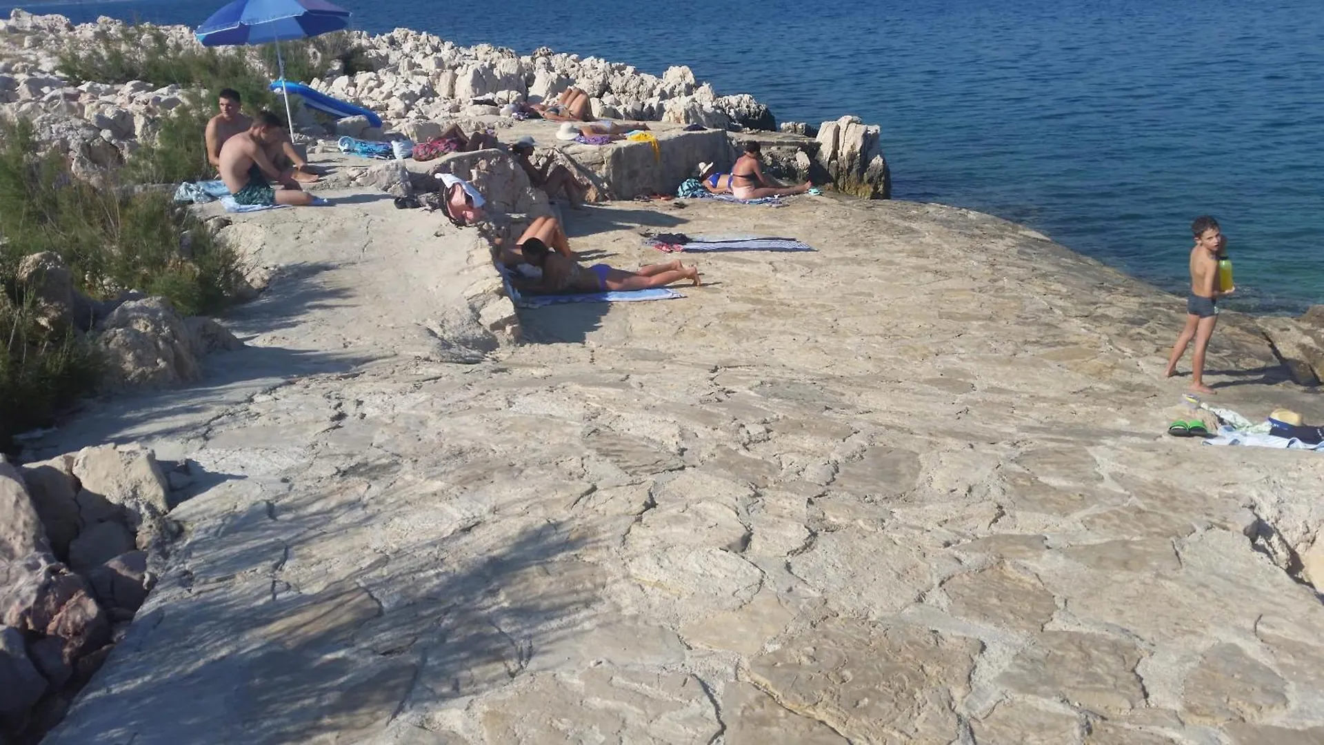 Apartment Apartman Olive 2 Zadar